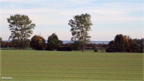 Oktober-Tage an der Bucht: Blick über die Felder bei Gronenberg